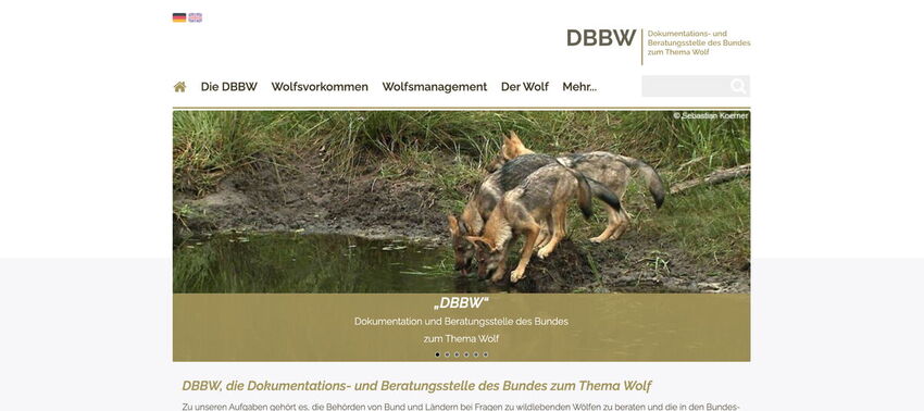 Startseite Website DBBW - Dokumentations- und Beratungsstelle des Bundes zum Thema Wolf 2023