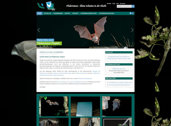 Startseite Website Naturpark Bayerischer Wald Fledermaus Bayern 2019