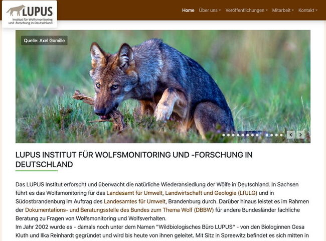 Startseite Website LUPUS Institut für Wolfsmonitoring und -forschung in Deutschland 2023