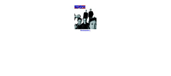 Startseite Website SAXNDI 2003