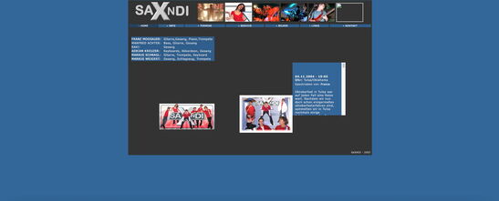 Startseite Website SAXNDI 2004