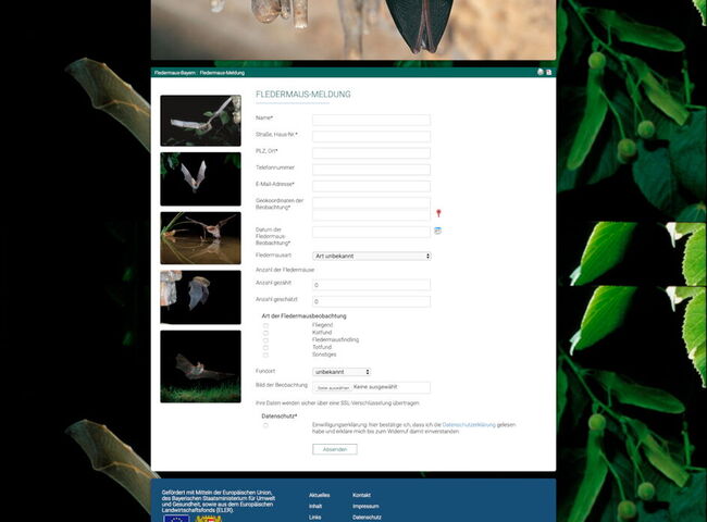 Bildschirmaufnahme Meldeformular Naturpark Bayerischer Wald Fledermaus Bayern 2019