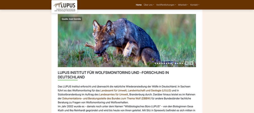 Startseite Website LUPUS Institut für Wolfsmonitoring und -forschung in Deutschland 2023