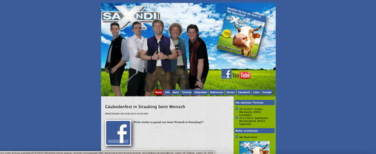 Startseite Website SAXNDI 2013